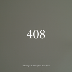 408 408